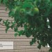 Сайдинг Ю-Пласт TIMBERBLOCK Пихта (Тимберблок) Cахалинская купить в Саранске