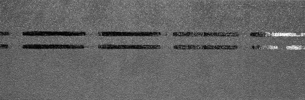 Коньково-карнизная черепица Docke Premium, черника купить в Саранске