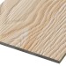 Фиброцементные панели FCSPRO Decor Wood Лиственница купить в Саранске