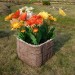 Цветник КАНЬОН купить в Саранске