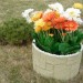 Цветник КАНЬОН купить в Саранске