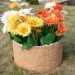 Цветник КАНЬОН купить в Саранске